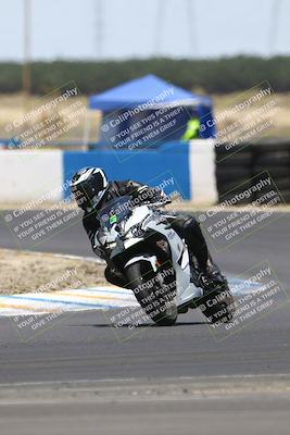 media/Jul-19-2025-TrackDaz (Sat) [[ff1509a44a]]/C Group/1240pm (Turn 1)/
